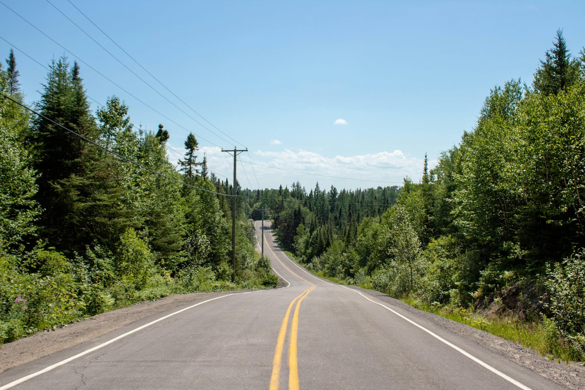 Une route de campagne qui traverse la forêt